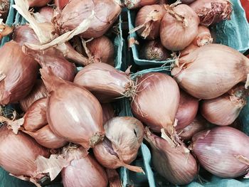 High angle view of fresh onions at market stall