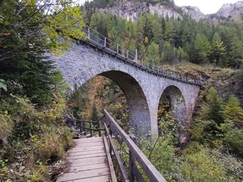 Arch bridge over forest