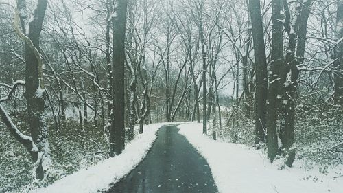 Snow covered landscape