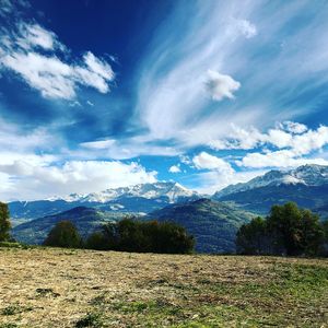 Scenic view of field against sky