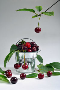 Close-up of berries over white background