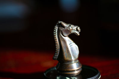 Close-up of a bird on table