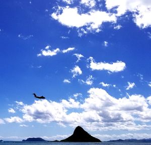 Low angle view of bird flying in sky