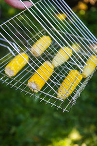 Close-up of metallic fence