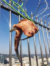 Panoramic shot of meat hanging against blue sky