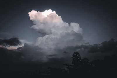 Low angle view of silhouette trees against sky