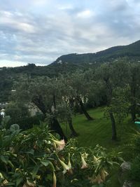 Scenic view of mountains against cloudy sky