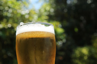 Close-up of beer glass