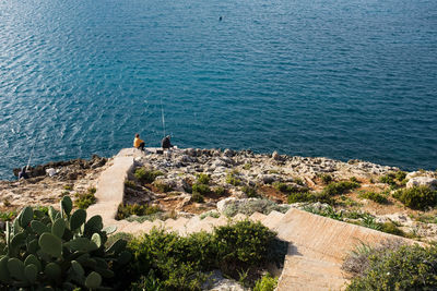 High angle view of men fishing in sea