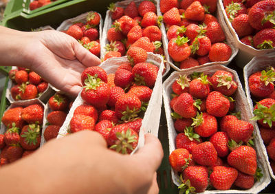 Fresh red strawberries in a paper box on the market