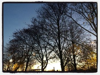 Low angle view of bare trees against sky