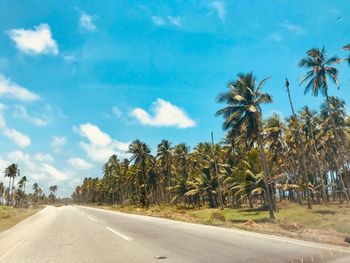 Road by palm trees against sky