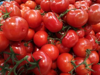 Full frame shot of tomatoes for sale