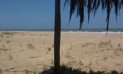 Scenic view of beach against clear sky