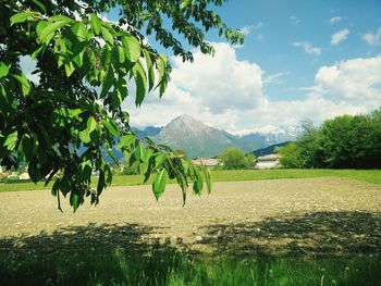 Scenic view of landscape against cloudy sky