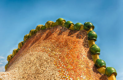 Close-up of broccoli against green background