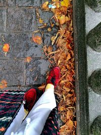 Low section of person standing by autumn leaves