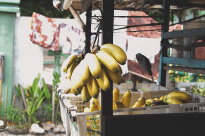 Close-up of fruits for sale at market stall