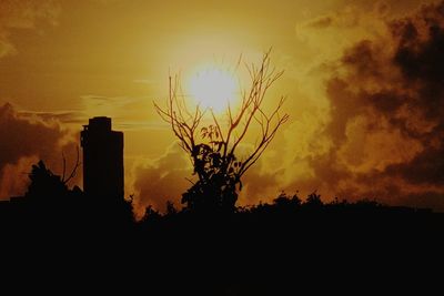 Silhouette plants against sky during sunset