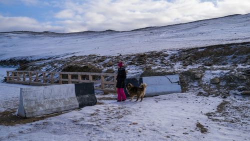 Dog standing on snow covered shore against sky