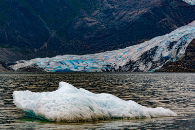 Mendenhall glacier in juneau, alaska on a summer day