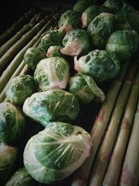 Close-up of brussels sprout