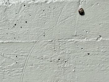textured