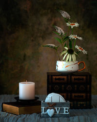 Potted plant on table at home