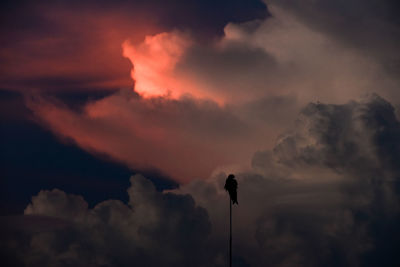 Low angle view of street light against dramatic sky