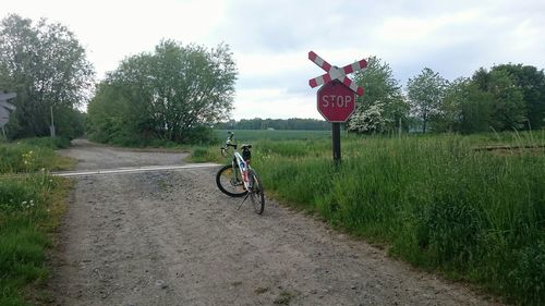 Rear view of girl jumping on road