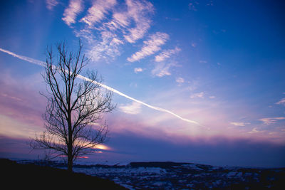 Silhouette bare tree against sky at sunset