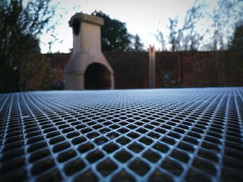 Close-up of metal grate against trees