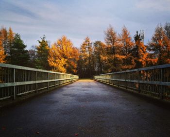 Bridge amidst trees against sky