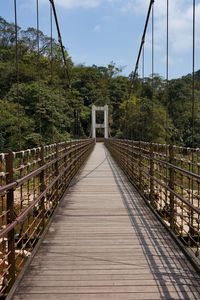 Footbridge in forest against sky