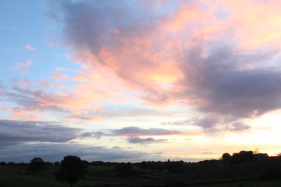 Low angle view of silhouette trees against sky at sunset