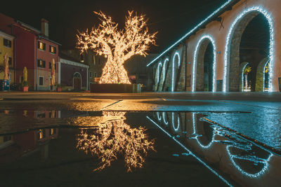 Illuminated building by trees at night