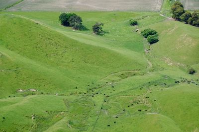 High angle view of agricultural field