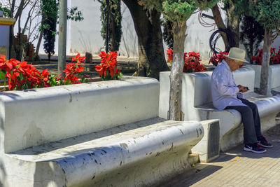 Young woman sitting by tree