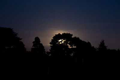 Low angle view of silhouette trees against sky