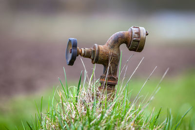 Close-up of rusty valve