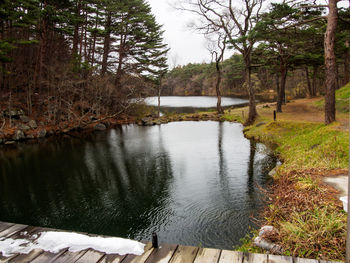 Scenic view of lake in forest