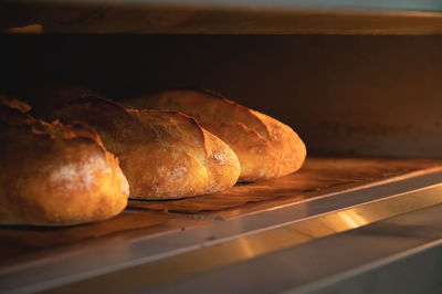 Close-up batch of fresh buns of artisan bread baked in an oven in cooking and eating concept