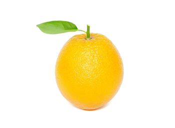 Close-up of oranges against white background