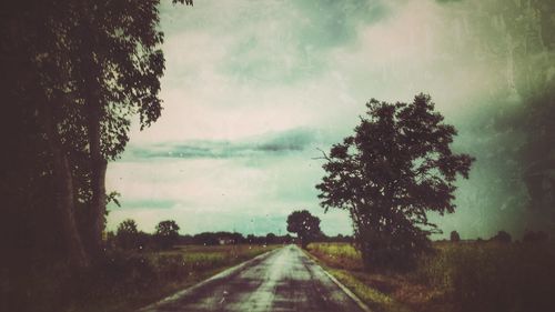 Road amidst trees on field against sky