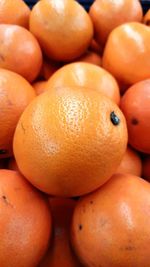 Close-up of oranges in market