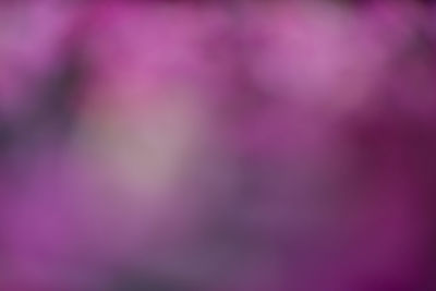 Full frame shot of pink abstract background