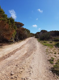 Dirt road along plants and trees against sky