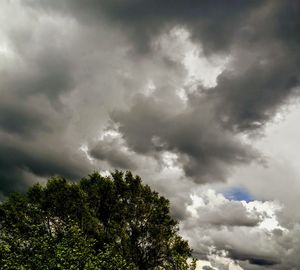 Low angle view of trees against cloudy sky