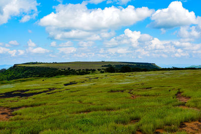 Scenic view of landscape against sky