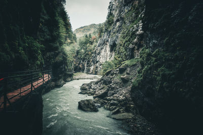 Scenic view of waterfall